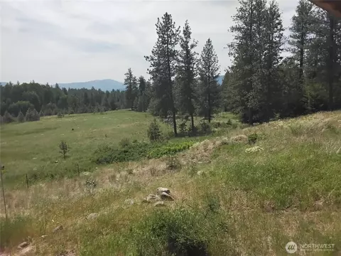 193 Blue Meadows Rd, Tonasket, WA 98855