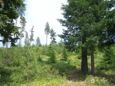420 Big Rock Ln, Cle Elum, WA 98922