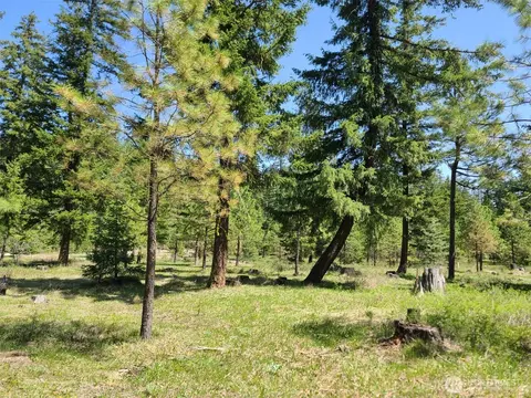 66 Wanawish Loop, Cle Elum, WA 98922