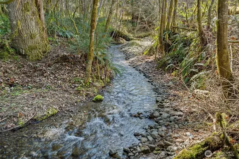 Other - 2144 Cispus Rd, Randle, WA 98377 photo 7 of 8