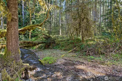 Other - 2144 Cispus Rd, Randle, WA 98377 photo 8 of 8