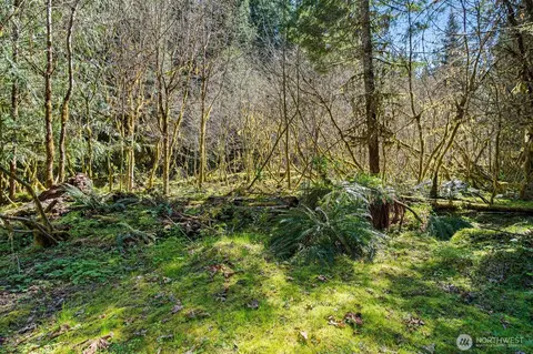 Exterior - 2144 Cispus Rd, Randle, WA 98377 photo 13 of 15