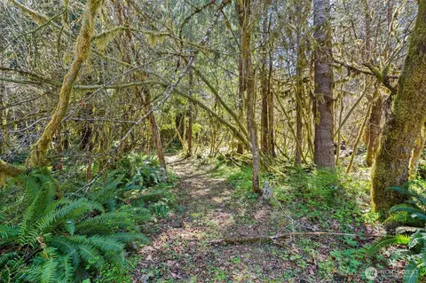 Exterior - 2144 Cispus Rd, Randle, WA 98377 photo 14 of 15