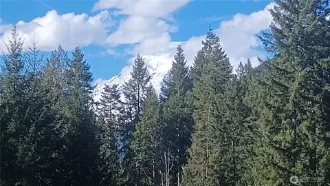 120 Bear Grass Ln, Packwood, WA 98361