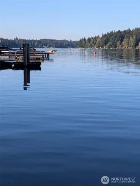 1261 E Mason Lake Dr E, Grapeview, WA 98546 photo 30