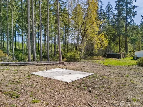 1170 E Mason Lake Dr E, Grapeview, WA 98546 photo 3