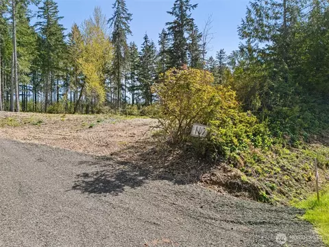 1170 E Mason Lake Dr E, Grapeview, WA 98546 photo 16
