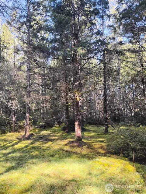 1731 E Saint Andrews Dr N, Shelton, WA 98584
