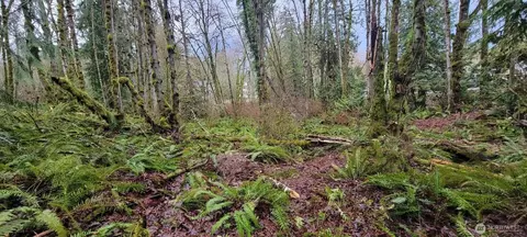 0 Nevada Ave Michigan St, Manchester, WA 98353
