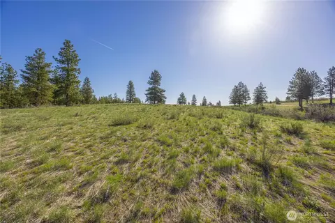 1058 L0t Apt 8 Blazing Star Ln, Chelan, WA 98816