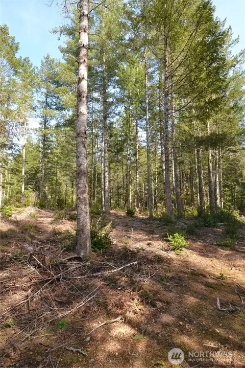 0 Beal Pl, Seabeck, WA 98383