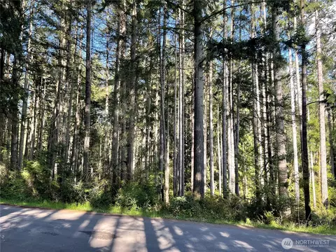 11024 Cascade Pl, Anderson Island, WA 98303