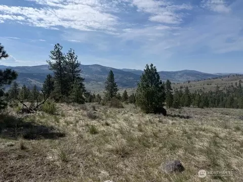 123 W Cayuse Mtn Rd, Tonasket, WA 98855