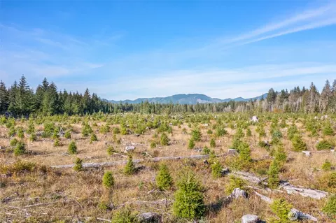 0 W Tr1 W Deckerville Rd, Matlock, WA 98560 photo 7