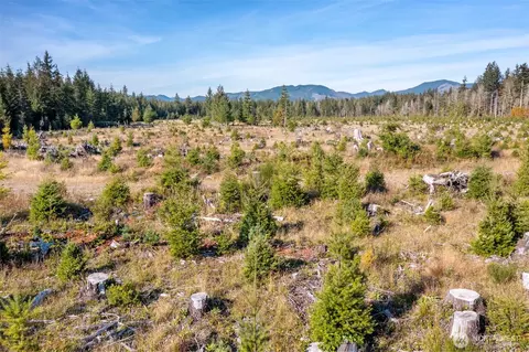 0 W Tr1 W Deckerville Rd, Matlock, WA 98560 photo 8