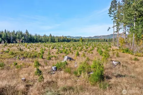 0 W Tr1 W Deckerville Rd, Matlock, WA 98560 photo 5