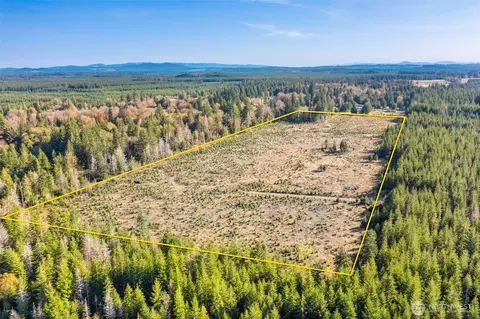0 W Tr1 W Deckerville Rd, Matlock, WA 98560 photo 3