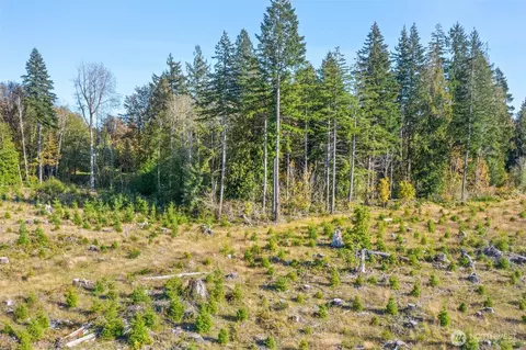 0 W Tr1 W Deckerville Rd, Matlock, WA 98560 photo 4