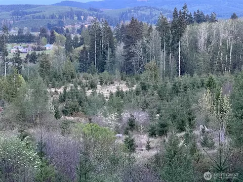 0 Jones Rd, Pe Ell, WA 98572