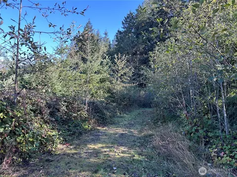 0 Nka Mt Brynion Rd, Kelso, WA 98626