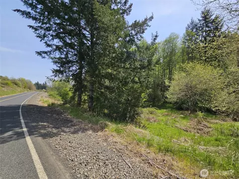0 Lost Valley Rd, Boistfort, WA 98532