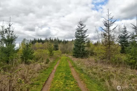 706 Jorgensen Rd, Onalaska, WA 98570 photo 22