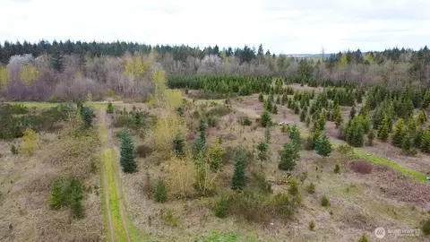 706 Jorgensen Rd, Onalaska, WA 98570 photo 9