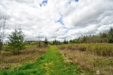 706 Jorgensen Rd, Onalaska, WA 98570 photo 25
