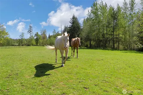 Other - 8 304th Ave S, Roy, WA 98580 photo 2 of 6