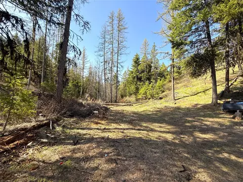 0 Tbd Give Out Creek Rd, Wauconda, WA 98859