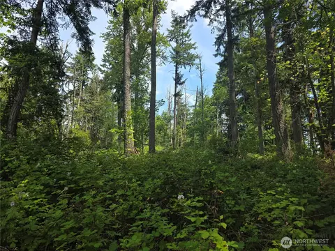 29615 Orting Kapowsin Hwy E, Graham, WA 98338