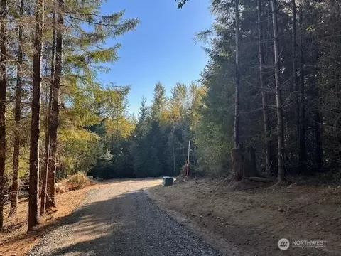 0 Misty Hill Dr #1 & 2, Toutle, WA 98649