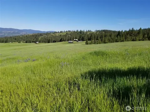 49 Old Ranch House Rd, Republic, WA 99166