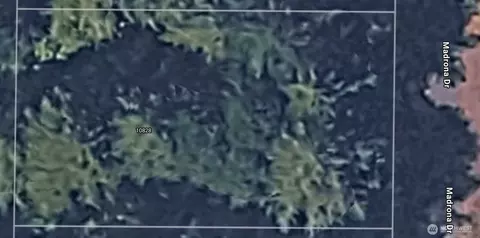 10828 Madrona Dr, Anderson Island, WA 98303