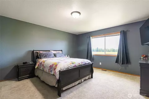 2995 Haynie Rd, Custer, WA 98240 photo 18