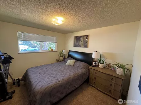 31 Burnt Mountain Pl, Sequim, WA 98382 photo 9