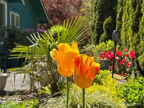Exterior - 401 Dungeness Mdws, Sequim, WA 98382 photo 7 of 11