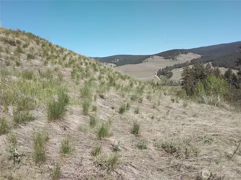 0 Gafvery Creek Rd, Oroville, WA 98844