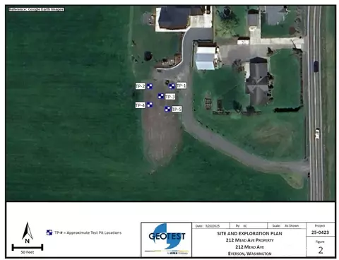 214 Mead Ave, Everson, WA 98284 photo 6