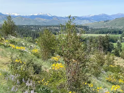 Other - 41 Red Tail Ridge Rd, Twisp, WA 98856 photo 13 of 16