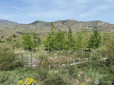 Other - 41 Red Tail Ridge Rd, Twisp, WA 98856 photo 16 of 16