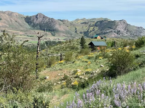 Other - 41 Red Tail Ridge Rd, Twisp, WA 98856 photo 1 of 16