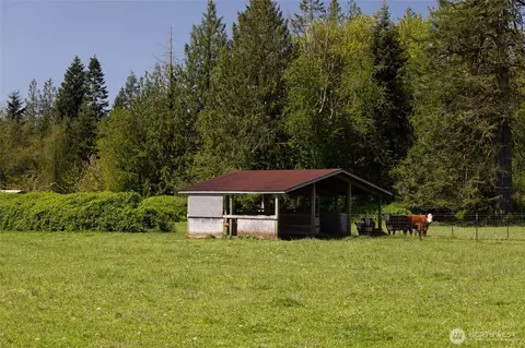0 Gore Rd, Onalaska, WA 98570 photo 5