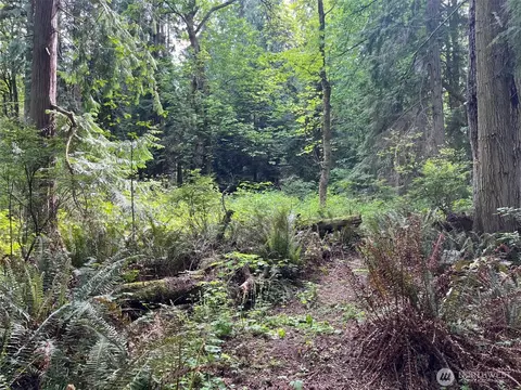32428 Hoffman Rd, Kingston, WA 98346