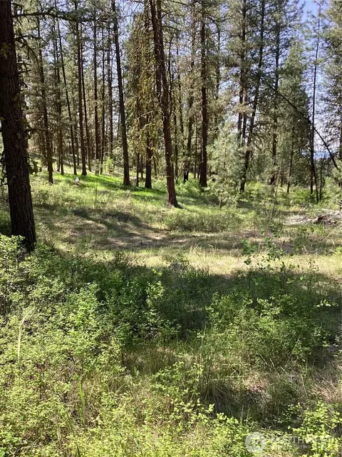 19 Lot Doe Ln, Tonasket, WA 98855