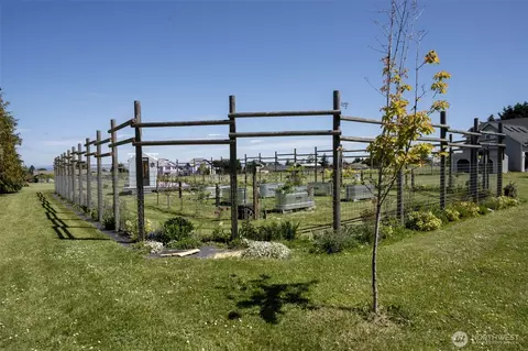 Other - 162 W Nelson Rd, Sequim, WA 98382 photo 7 of 15