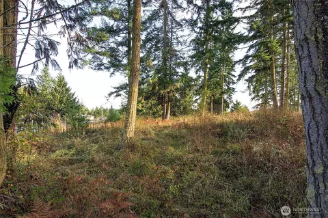 95 Shauna Pl, Sequim, WA 98382 photo 12