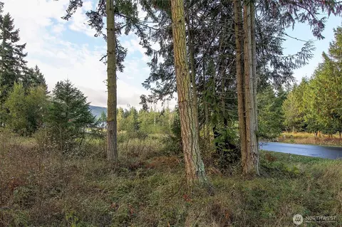 95 Shauna Pl, Sequim, WA 98382 photo 16
