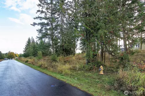 95 Shauna Pl, Sequim, WA 98382 photo 28