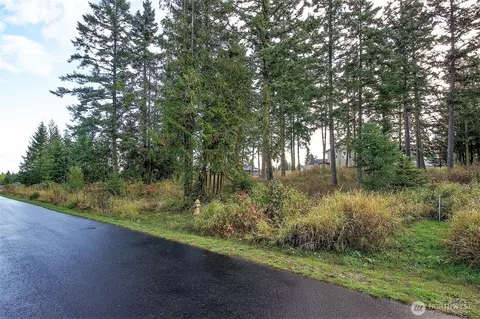 95 Shauna Pl, Sequim, WA 98382 photo 27